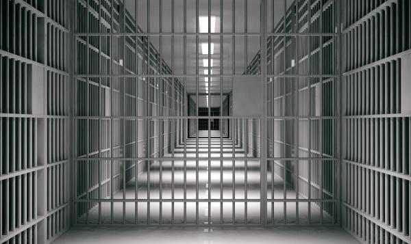 Acuzaţiile se concentrează în jurul unui set de cărţi care narează poveştile unui sat de oi care rezistă unei haite de lupi invadatoare