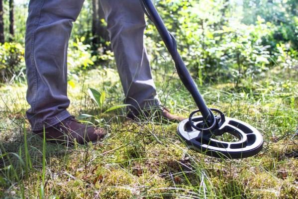 Descoperirea întâmplătoare făcută de un tânăr de 27 de ani într-o pădure din Alba a dus la găsirea unei adevărate comori