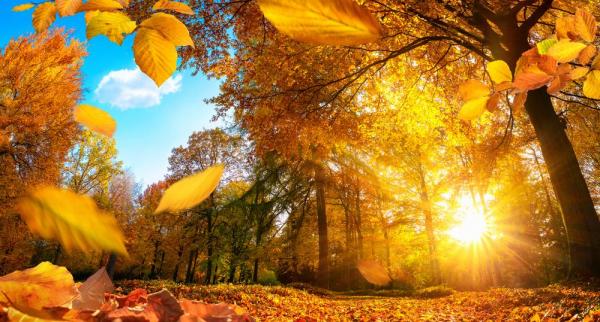 Prognoza meteo pentru 5 septembrie - 3 octombrie. Temperaturi normale pentru această perioadă. Se întorc ploile