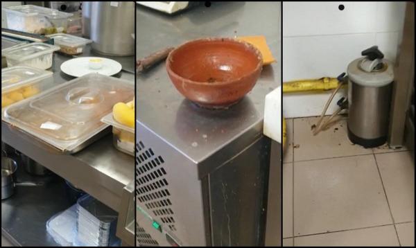 Mâncare expirată, mizerie şi gândaci în restaurantele şi magazinele de lângă şcoală. ANPC a dat amenzi de peste 160.000 de lei