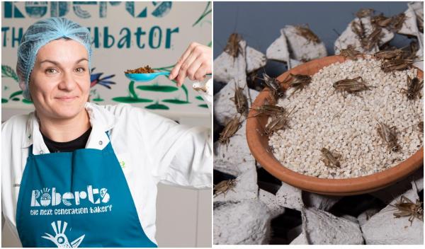 Făina de greiere a fost aprobată de UE pentru orice tip de mâncare