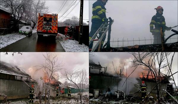 Pompierii au salvat 17 pisici din locuință