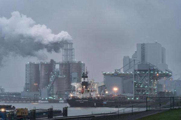 Șeful COP28 cere ca lupta împotriva crizei climatice să aibă loc "fără să încetinim creşterea economică"