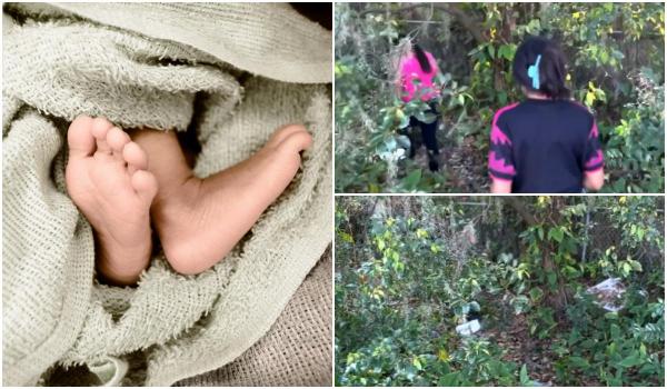 Un nou-născut, găsit abandonat într-o pădure din SUA
