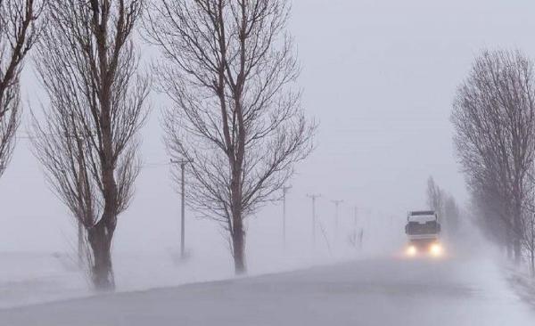 Meteo: Cod galben de vânt, viscol și ninsori în mai multe județe. ANM a emis două alerte de vreme severă