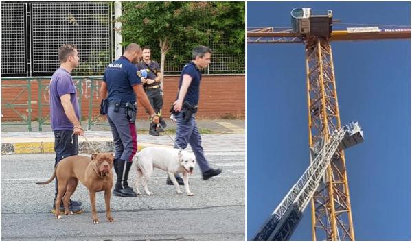 "Îmi vreau casa înapoi!" Un tânăr român a amenințat ore în șir că se aruncă de pe o macara, în Italia. Polițiștii i-au adus câinii, ca să-l liniștească
