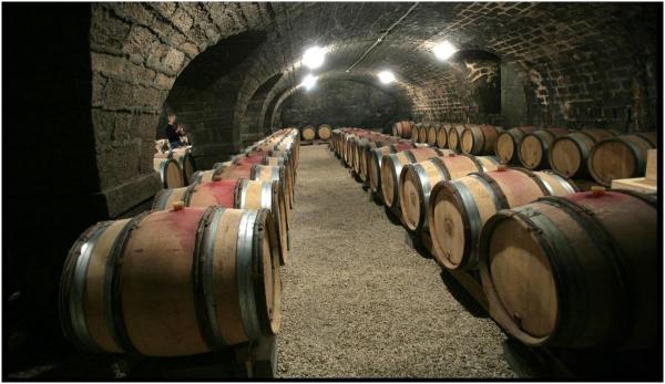 Doi cumnați au sfârșit tragic, după ce au căzut în cuva de fermentație dintr-o cramă din Spania. Unul din ei încerca să-i salveze viața celuilalt