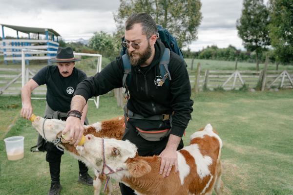 America Express, lider de audiență. Romică și Cătălin Țociu au câștigat imunitatea mică