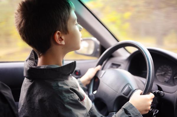 Un copil de 13 ani, prins la volanul unei autoutilitare pe un drum din Vrancea. Băiatul a fost oprit de poliţişti