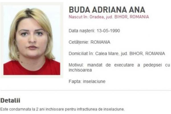 Cum a ajuns o femeie din Bihor să fie dată în urmărire naţională după ce a cumpărat ceapă: "ţeapă" de 120.000 de euro