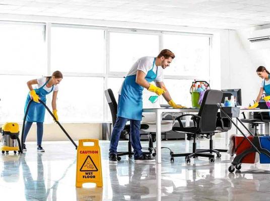 (P) Descoperă Dust Busters – Curățenie Profesională Redefinită