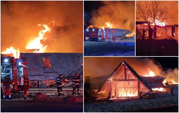 Şase morţi, între care un copil, şi doi dispăruţi după incendiul devastator de la Ferma Dacilor din Tohani, în Prahova. Pensiunea a fost distrusă complet