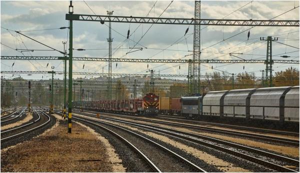 Tragedie în Ploiești. O femeie a fost spulberată de tren în timp ce traverseza calea ferată