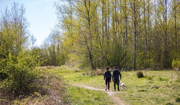 O adolescentă a fost atacată și violată într-un parc din UK.