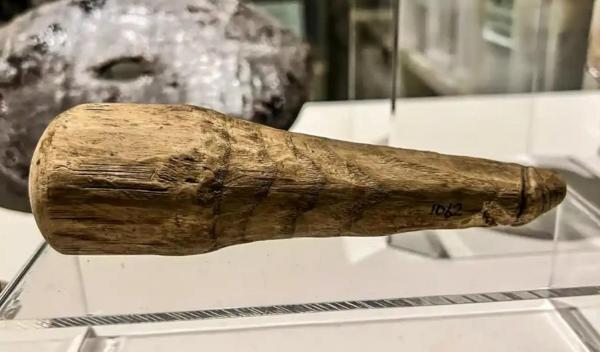 Jucărie sexuală veche de 2.000 de ani, descoperită de arheologi. Ar putea fi primul obiect de acest fel