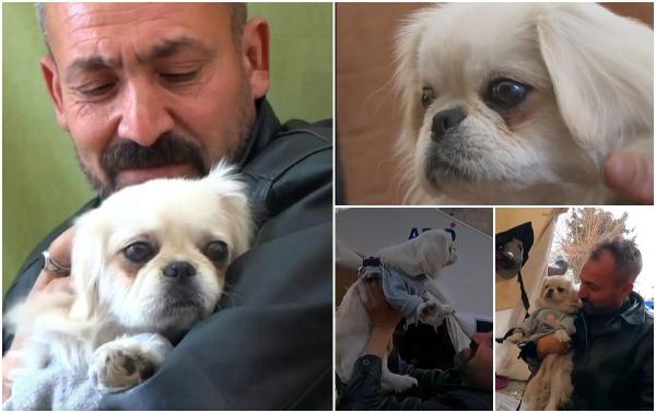 "Există o iubire uriașă între noi, care s-a născut din ruine". Bincir, un câine salvat din dărâmături în Turcia, adoptat de familia care i-a dat o nouă șansă