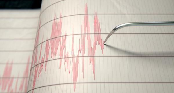 Cutremur în zona seismică Vrancea aproape de miezul nopții. Seismul a avut magnitudinea de 3.8 pe scara Richter