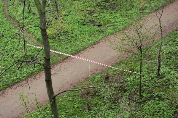 cadavru găsit în pădure