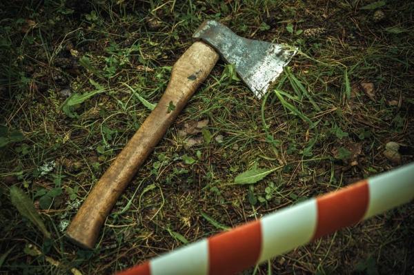 Un bărbat şi-a atacat soţia şi fiul de 17 ani cu toporul, convins că au o aventură. Indianul a fugit apoi cu fiul de 14 ani, fiind prins după două zile