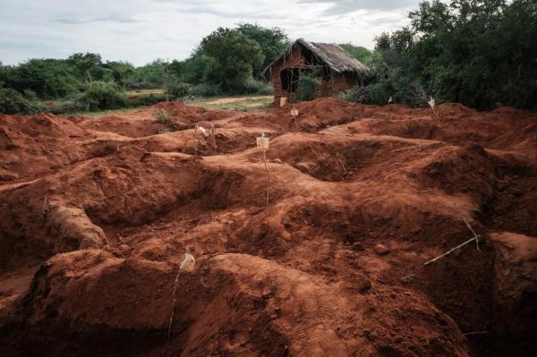 Zeci de cadavre, dezgropate în Malindi, Kenya