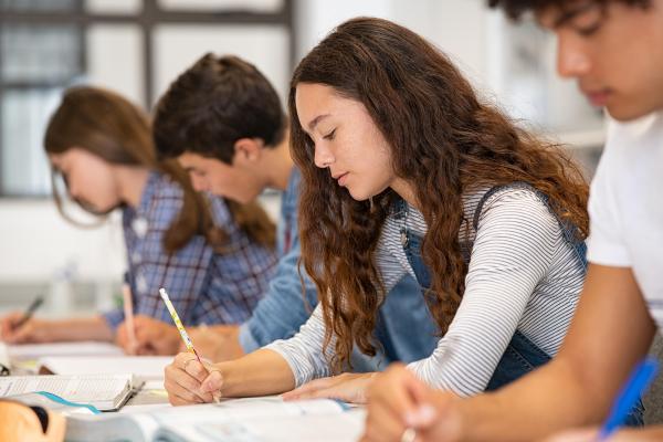 Concursul de admitere la liceu, criticat de Consiliul Elevilor. Promovarea meditaţiilor şi încurajarea inechităţii, printre consecinţe