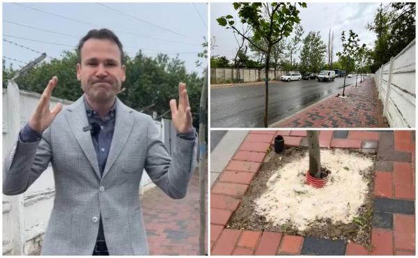 Primarul Robert Negoiţă, despre "sabotarea" copacilor din Sectorul 3