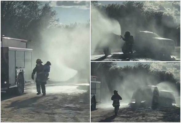 O mamă a fost înţepată de peste 75 de albine în timp ce încerca să-şi protejeze cei doi copii. Făceau poze de familie când au fost brusc atacaţi