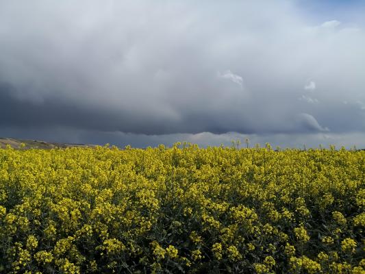 peisaj de primăvară în România