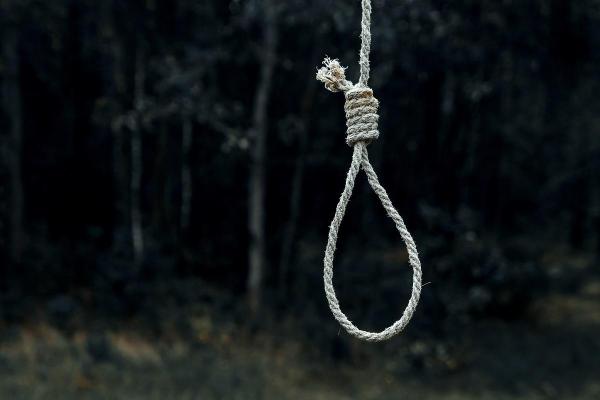 Imagine ilustrativă