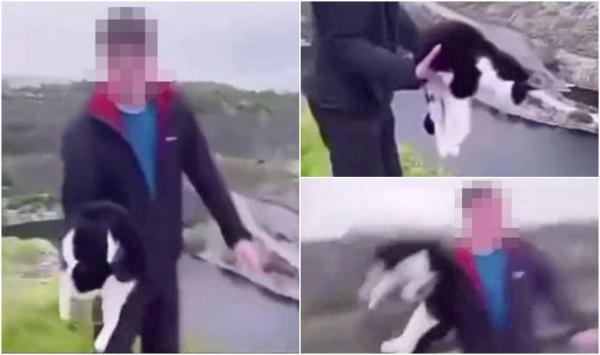 Barbarie fără margini. Momentul în care un tânăr din UK aruncă o pisică într-o râpă, în apă. Totul a fost filmat de un prieten