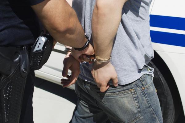 Poliţia Română a destructurat cea mai mare reţea de trafic de cannabis din zona Moldovei. Liderii grupului au fost arestaţi în Suceava