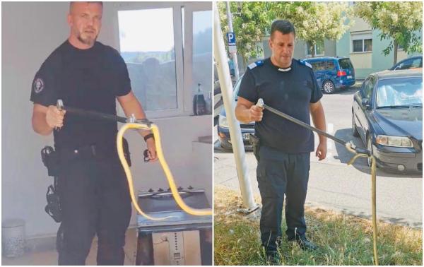 Momente de panică pentru o familie din Mehedinți: S-a trezit cu un șarpe în bucătărie