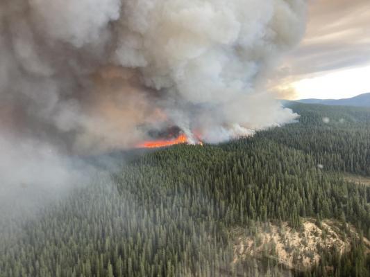 Un pilot din Canada a murit în timp ce se lupta cu incendiile de vegetaţie puternice. Elicopterul în care se afla s-a prăbuşit brusc