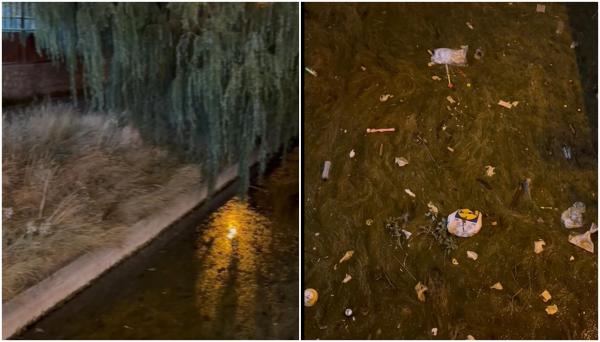 Focar de infecţie într-o zonă din Mamaia. Semnal de alarmă tras de directorul ANPC: "Ciudat cum de nu mai ajung turiștii!?"