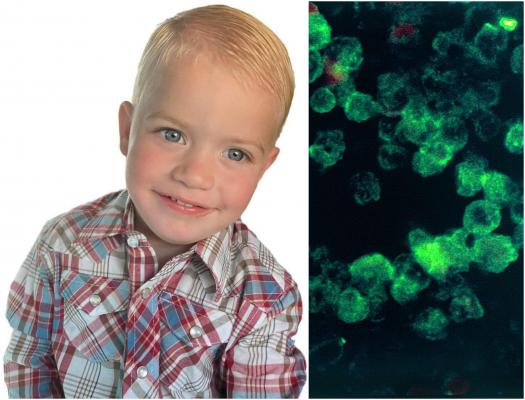 Un băieţel de 2 ani a murit după ce s-a infectat cu o amibă care mănâncî creierul, într-un izvor termal din SUA