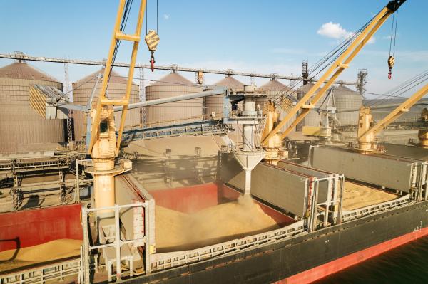 Cereale încărcate într-o navă dintr-un port din Ucraina