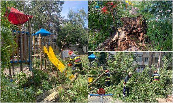 Copil de 10 ani, rănit de un copac căzut peste un loc de joacă