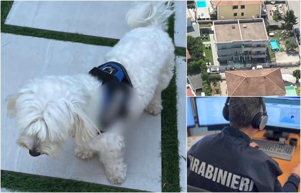 "Trădat" de propriul câine. Capul mafiei din Napoli, căutat de carabinieri, săltat în vila sa de lux după ce patrupedul l-a dat de gol