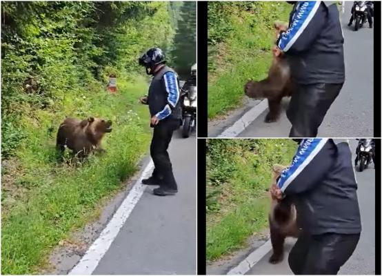 Gestul inconştient al unui motociclist pe Transfăgăraşan. Bărbatul, filmat în timp ce hrăneşte un urs care se năpusteşte asupra lui