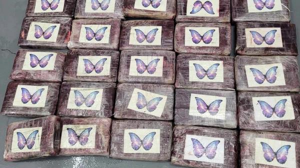 O primăriţă din Florida a prins o captură de un milioane de dolari în timp ce pescuia cu familia. Ce a descoperit femeia într-un sac pe fundul apei