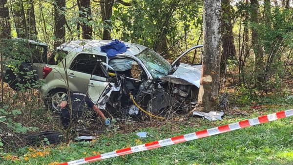 O șoferiță și-a condus intenționat copiii într-un copac, apoi i-a atacat cu un cuțit, pe un drum din Germania. Un alt șofer și iubita lui au oprit vărsarea de sânge