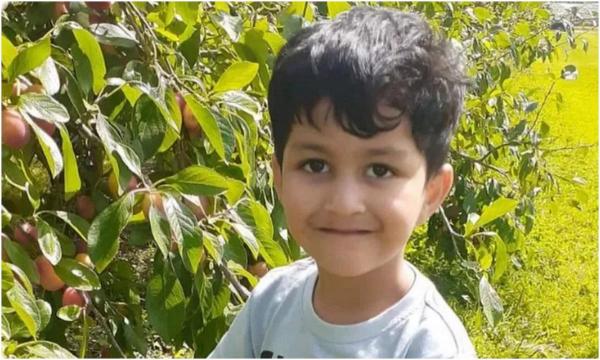 Băiețel de 4 ani, la un pas de a fi sfâșiat de un câine, într-un parc din UK