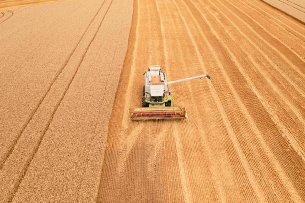 Comisia Europeană ridică restricţiile impuse importurilor de cereale ucrainene