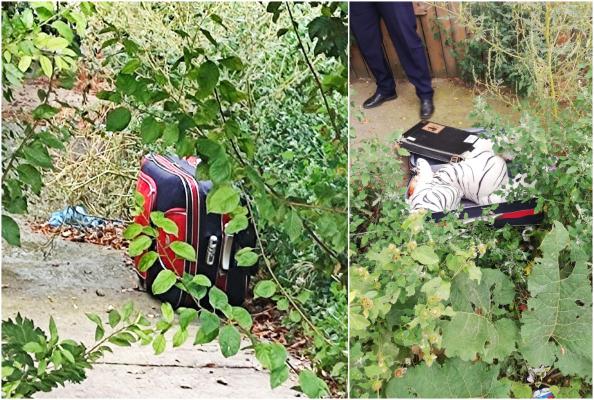 O geantă abandonată a pus pe jar poliţia din Brăila. În interoriul nu se afla nimic altceva decât o zebră uriaşă de pluş