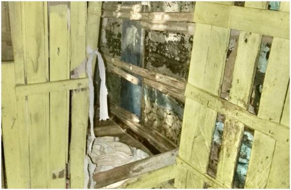 Băieţel de 13 ani cu handicap, închis într-o cuşcă de lemn şi legat cu cătuşe de 6 femei, între care mama lui, în Venezuela. Copilul trăia în teroare de 7 ani