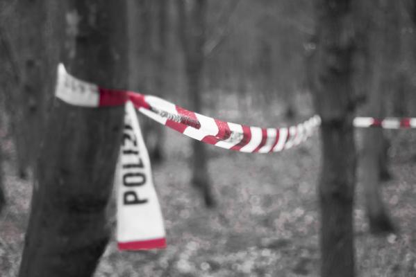 Copil de 6 ani, dat dispărut de părinți, a murit la spital după ce a fost găsit grav rănit. Presupusul criminal, un adolescent de 14 ani, a fost reținut în Germania