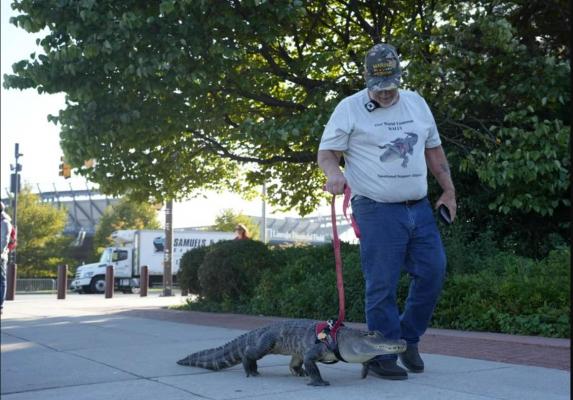 Situație inedită pe un stadion din SUA. Un bărbat a încercat să vadă un meci alături de animalul său de suport emoțional, un aligator