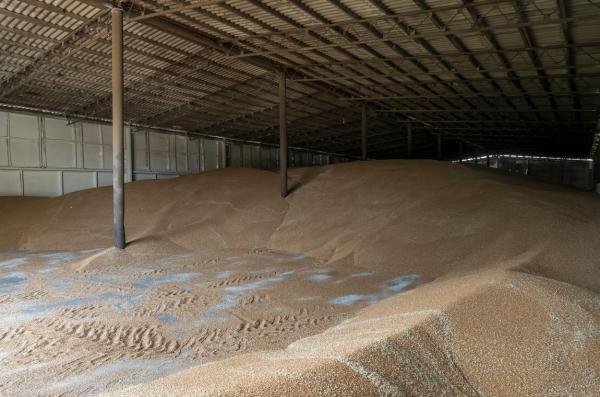 Polonia va menţine interdicţia asupra importurilor agricole ucrainene şi acuză Kievul de rea credinţă. Unde ajung de fapt cerealele ucrainene