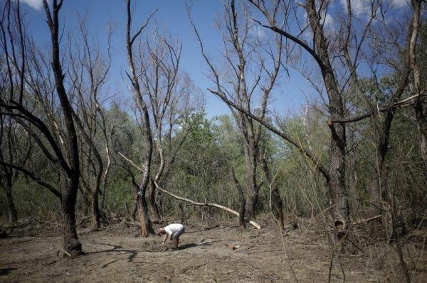 Fragmente de dronă, în zona canalului Litcov