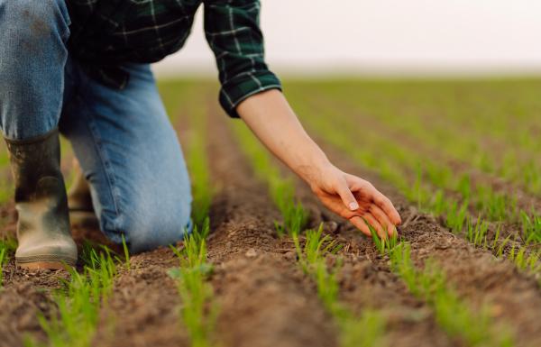 România, al şaptelea producător agricol din UE în 2023. Scădere uşoară a producţiei la nivel european